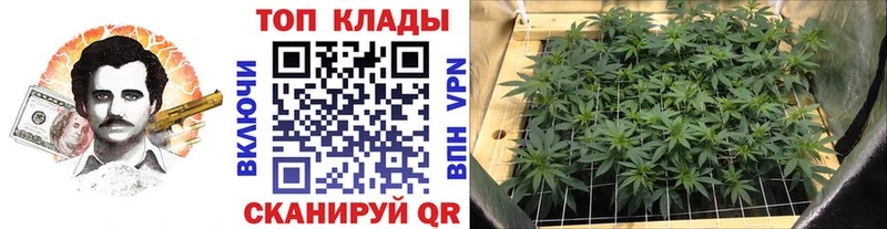 Продажа наркотиков Краснослободск КОКАИН  Меф мяу мяу  Марихуана 