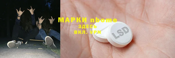 амф Пестово