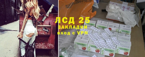 ГАЛЛЮЦИНОГЕННЫЕ ГРИБЫ Армянск