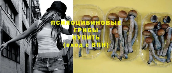 эйфоретик Арсеньев