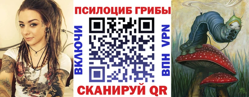 дарнет шоп  Краснослободск  Галлюциногенные грибы Cubensis 
